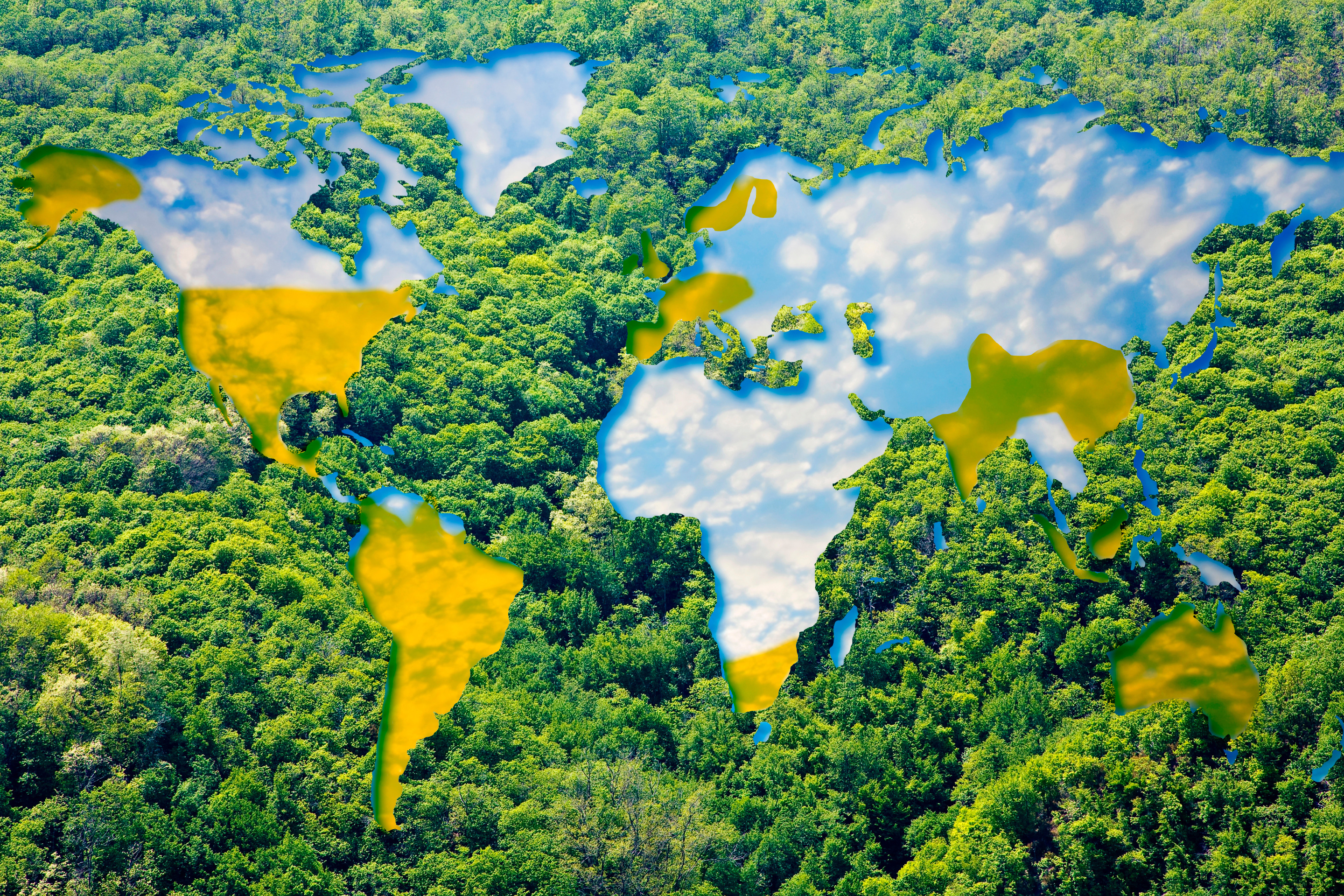 Grupo Prosegur renova plano de compensação de CO2 com foco na preservação de mais de 1 milhão de hectares de florestas naturais 